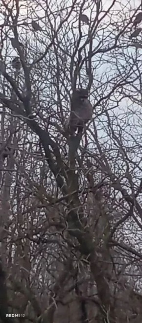 ���������� ���� ������� �� ������ ��-�� ����� �����