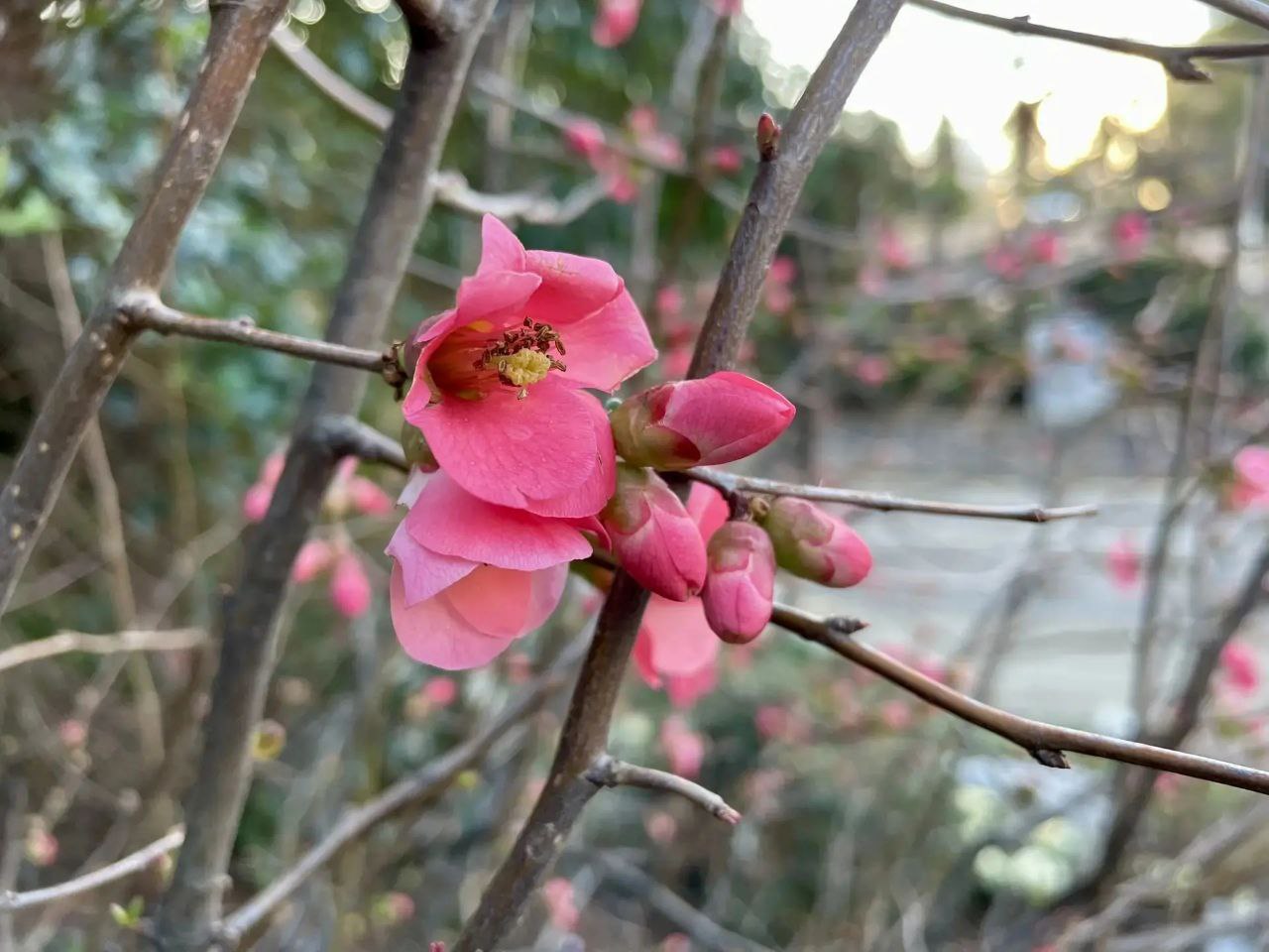 Доброе утро, дорогие сочинцы и гости города!