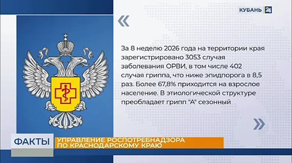 Рост заболеваемости гриппом и ОРВИ фиксируют в России