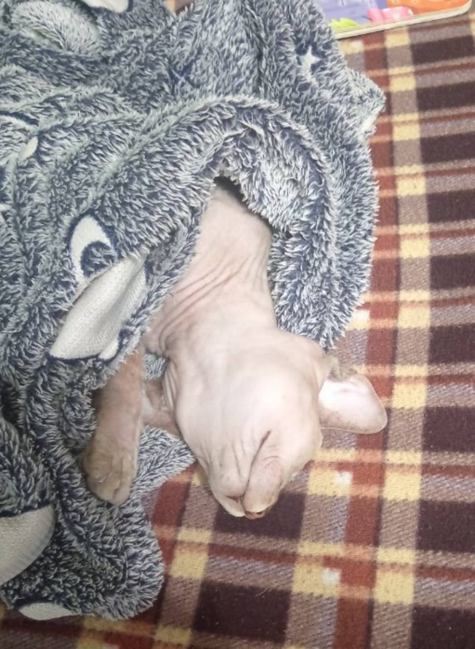 О погоде на 25 февраля. В Краснодарском крае облачно с прояснениями О погоде на 25 февраля. В Краснодарском крае облачно с прояснениями