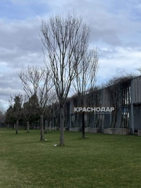 ������ ������� � ����� ��������� ������ �����