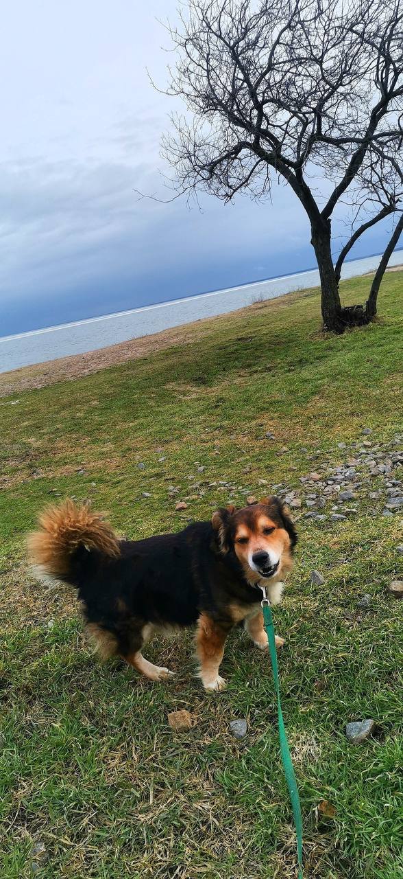 О погоде на 25 февраля. В Краснодарском крае облачно с прояснениями О погоде на 25 февраля. В Краснодарском крае облачно с прояснениями