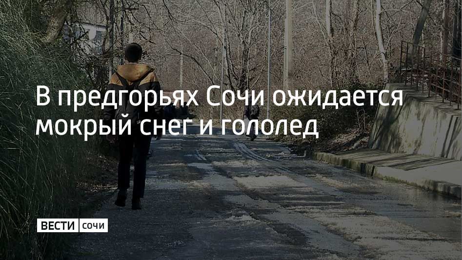 В Сочи с вечера 25 февраля до утра 26 февраля в предгорной зоне ожидается налипание мокрого снега на провода и деревья, на дорогах возможна гололедица