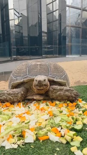 ��� ������� ������ � ���������� �����?