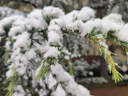 В Сочи ночью ожидается сильный снегопад