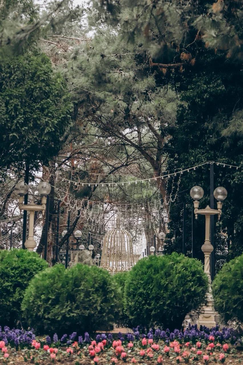 Алексей Богодистов: В марте начинаем большое обновление зелёного облика Геленджика Алексей Богодистов: В марте начинаем большое обновление зелёного облика Геленджика