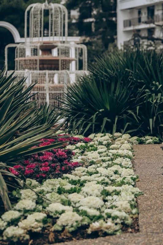 ������� ����������: � ����� �������� ������� ���������� ������� ������ ����������