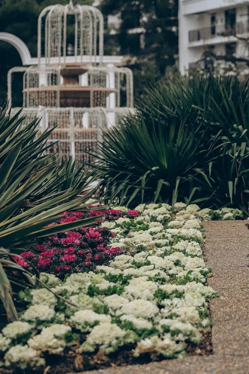 Алексей Богодистов: В марте начинаем большое обновление зелёного облика Геленджика