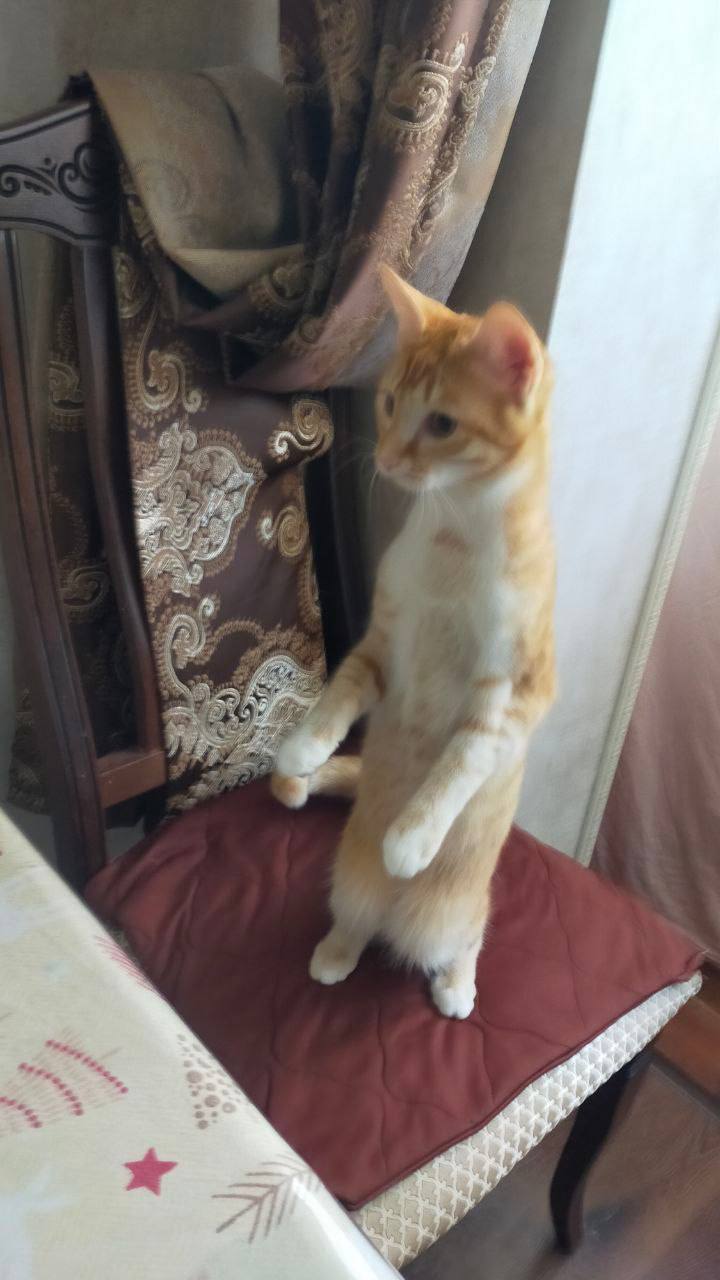 О погоде на 25 февраля. В Краснодарском крае облачно с прояснениями О погоде на 25 февраля. В Краснодарском крае облачно с прояснениями