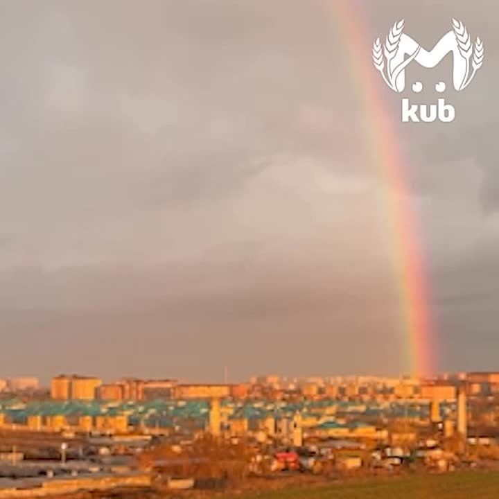 Первый весенний "привет" добрался до Краснодара