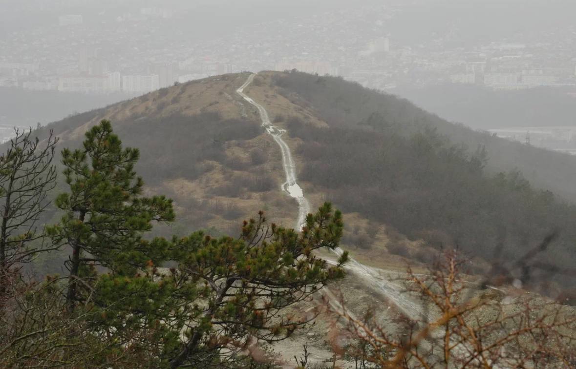 Андрей Кравченко: Строительство Северного обхода позволит существенно разгрузить улично-дорожную сеть Новороссийска Андрей Кравченко: Строительство Северного обхода позволит существенно разгрузить улично-дорожную сеть Новороссийска
