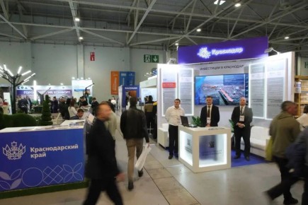 �������������� ��������� ���������� ����������� �� ������������� �������� �������-2026�