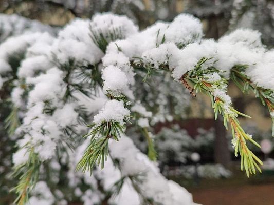 Ночью в предгорьях Сочи ожидается гололед и мокрый снег