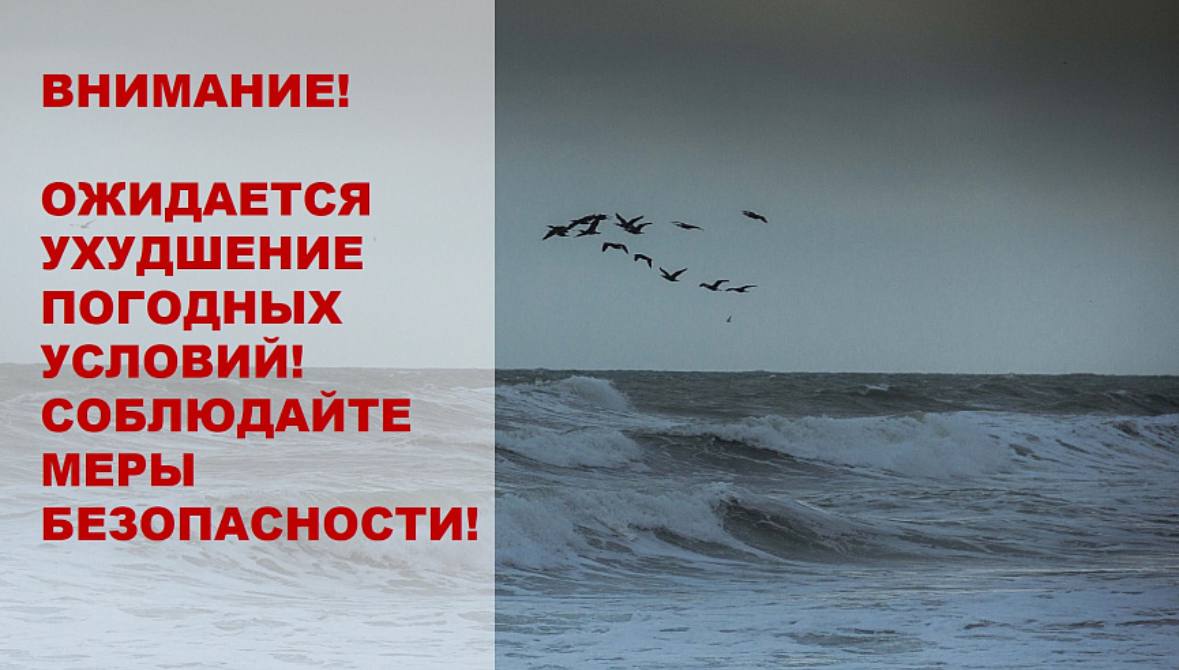 Вице-губернатор Александр Агибалов в зоне СВО посетил расположение добровольческих отрядов БАРС Кубанского казачьего войска Вице-губернатор Александр Агибалов в зоне СВО посетил расположение добровольческих отрядов БАРС Кубанского казачьего войска