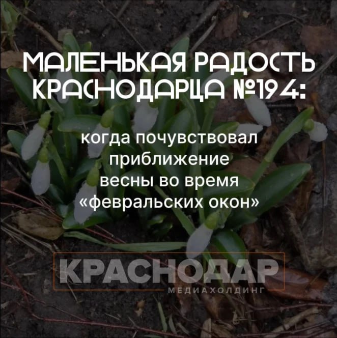 Нашли еще один повод для радости в любимом городе