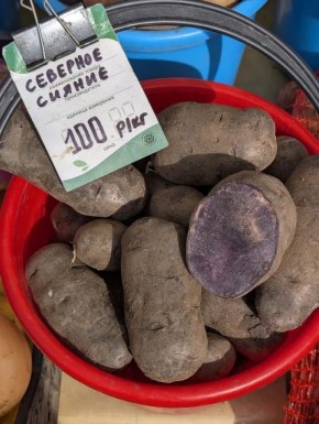 �������� ������ ������� �� ������������� �����