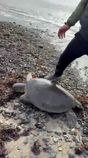 � ����������� ������ ����������� ������ ��������