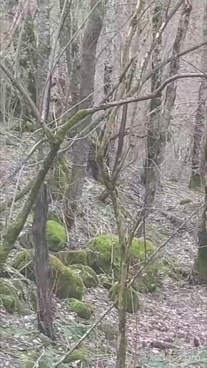 �������������� ������ ����� ���������� ����������� ���������