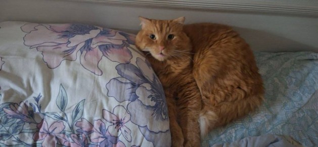 ������ ����, ������!. ��������� +7 ��