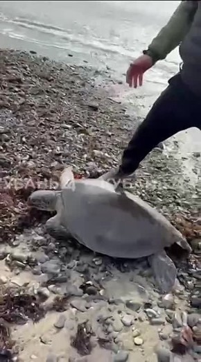 ������� ������� �������� ���� � ������ ������