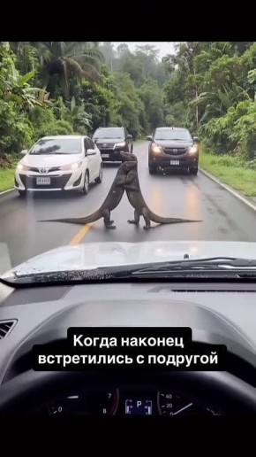 � ����� ���� ��� ��������