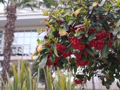 Доброе утро, любимый город!