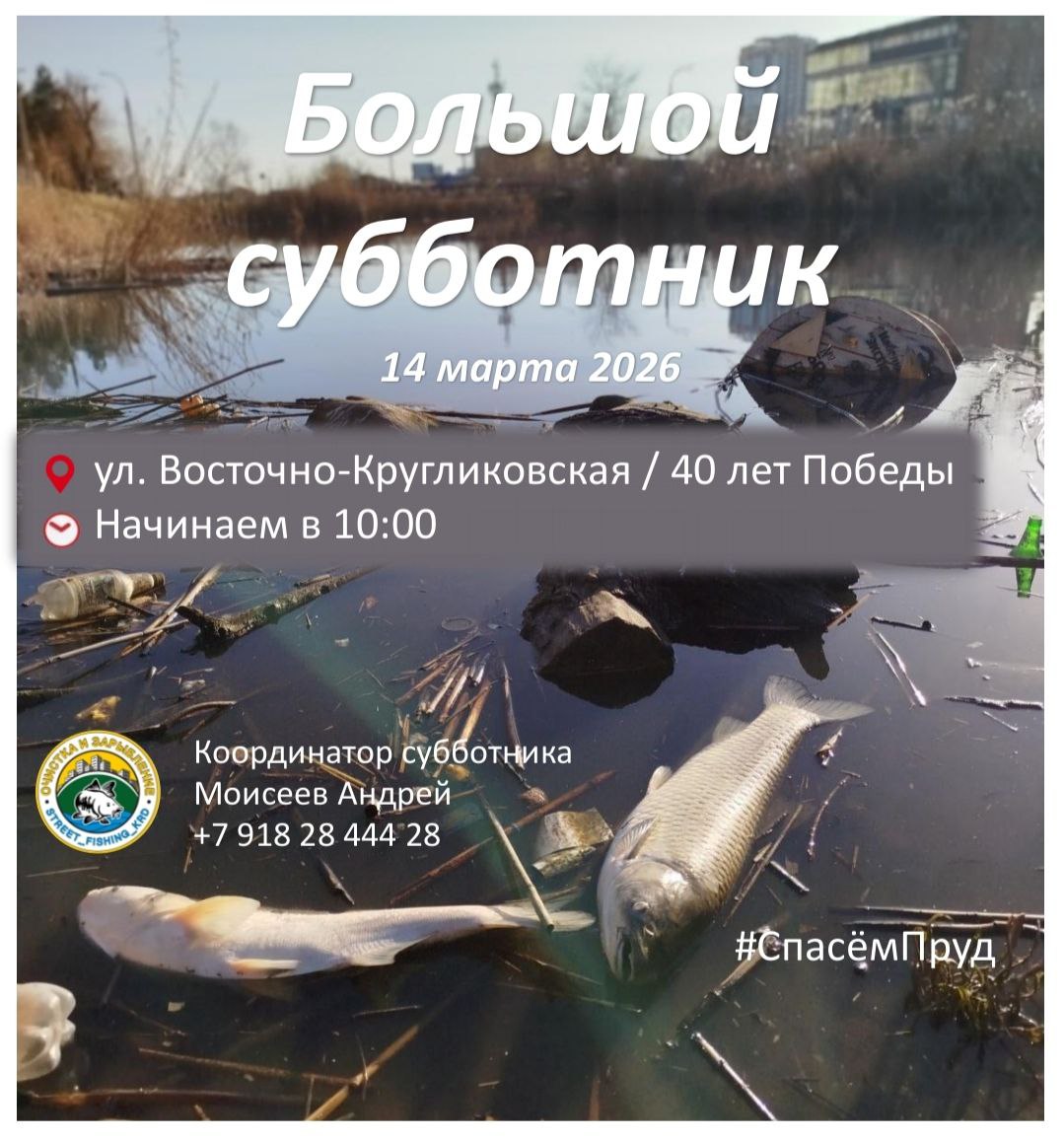 Друзья!. . Все мы обеспокоены ситуацией массового загрязнения водоёма, гибели рыб и птиц на ул. Восточно-Кругликовской