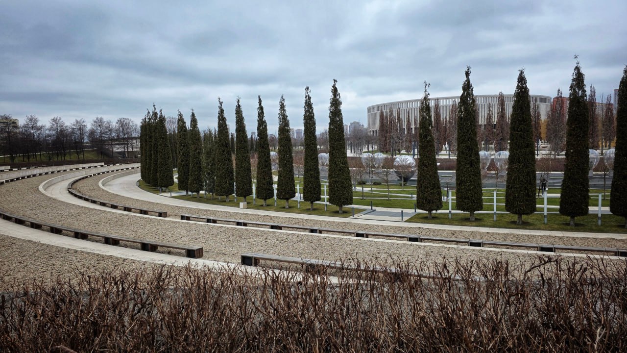 Электрический шалфей уступает место настоящему в парке «Краснодар»