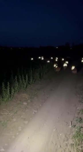 �� ������ ����� � ��������������� �������? ������ ������