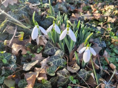 �� ������� ������������� ����������� ������������� ���������������� ���������������