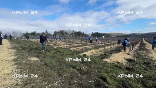 � ����������� ��������� ������� �� ������� ����������� ����