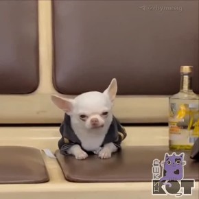 ���������: � ������� ���� �� ������