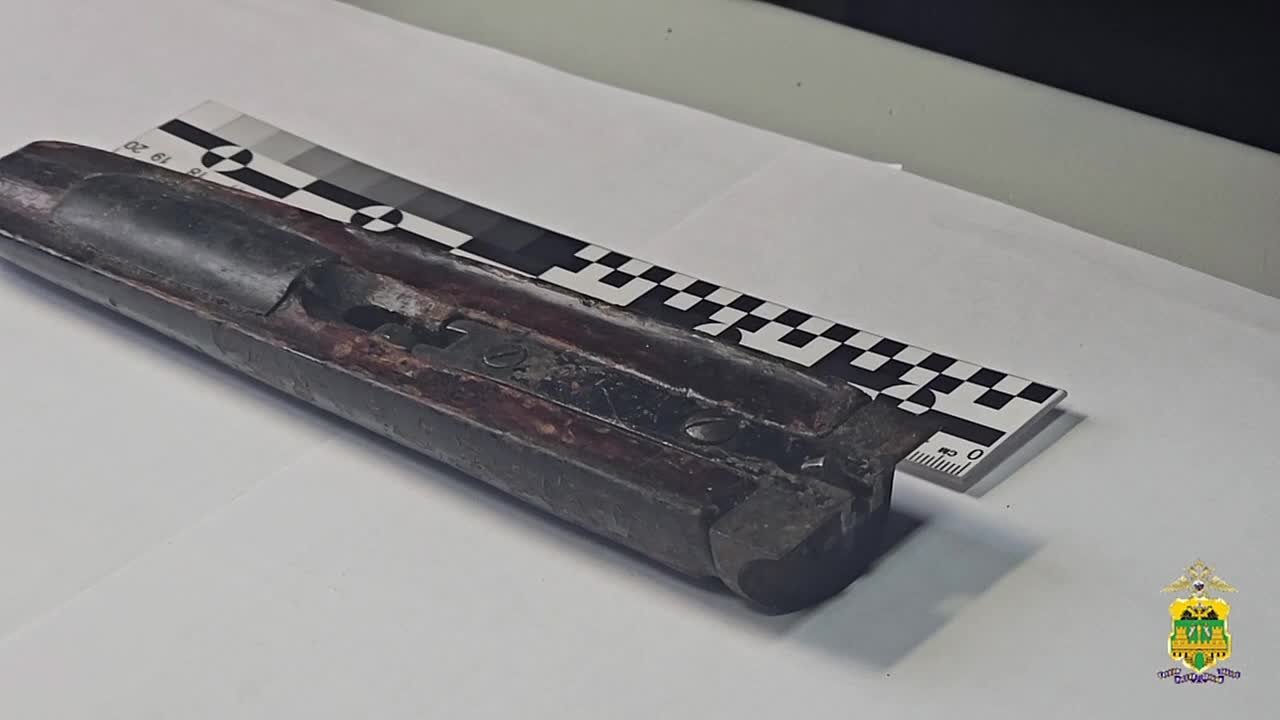 Оружие, боеприпасы и почти 8 кг пороха изъяли полицейские на Кубани