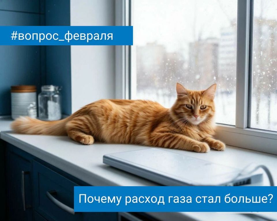 ����� ������: ����� ������ ������ �������