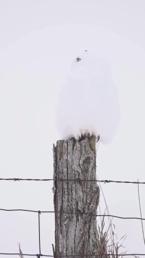 �� ������ ���� �� �����? � ��� ��� ����