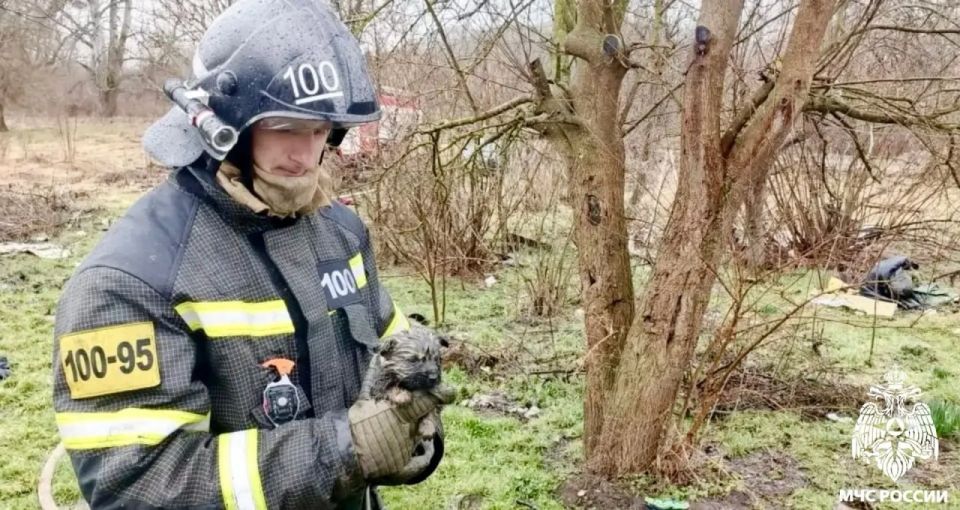 ��������� �����. ���������� ������ ������� ������ �������� �� ����