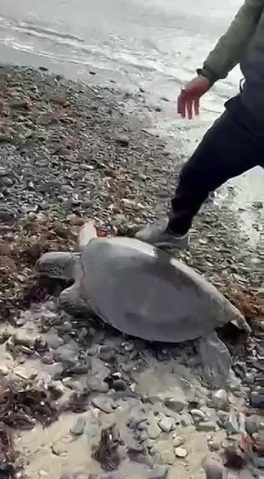 ����� �������. ������� ������� �������� �������� ������� � ������ ����