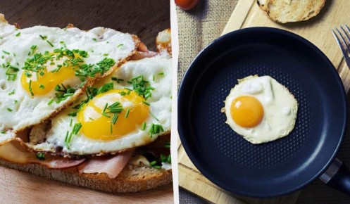 ��� ��������� ����� ����������� ���� �������� �������