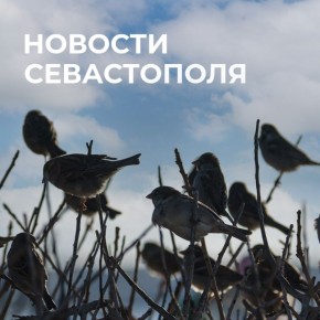 Михаил Развожаев: Коротко о главном:. Финишная прямая: подпорные стены на улице Адмирала Октябрьского готовы на 76%