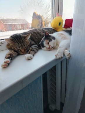 ������ ����, ������!. ��������� +6 ��