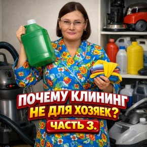 Почему профессиональные чистящие средства не для обычных домохозяек