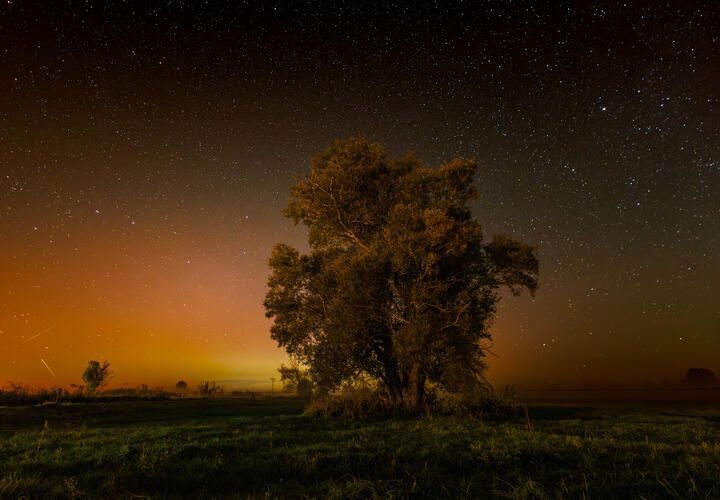 �������� ���������� ������ �����, � ����� ���� ����� ���������� ����