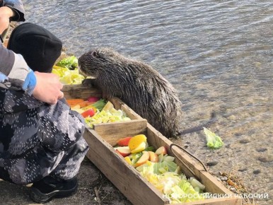 �������������� ������ �������� ������