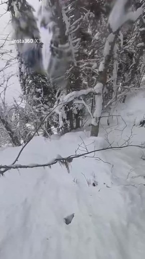 ���� ���� ����. ������������� ������� ���� �� ��������� ��������� ��� �������� �� ������� ������