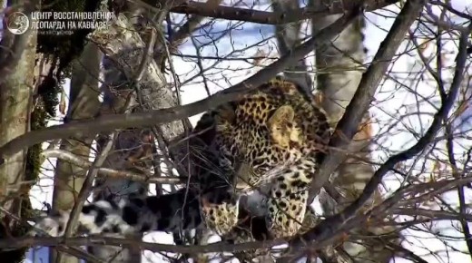 ������� ������� �� ������ ������