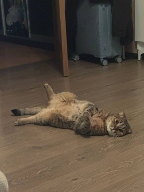 � ������ �� 1 ����� . � ������������� ���� ���������� ����������