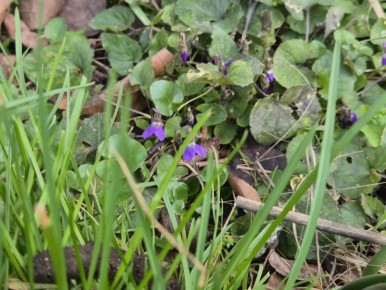 Март встречает прохладой. Но всё же будет теплее, чем вчера