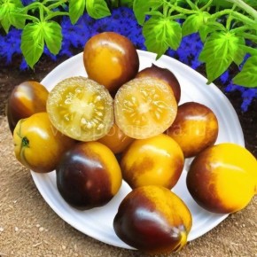 ����� ����� ����� �����: ����� ����� � ������������ ���� ��� �������� ��������