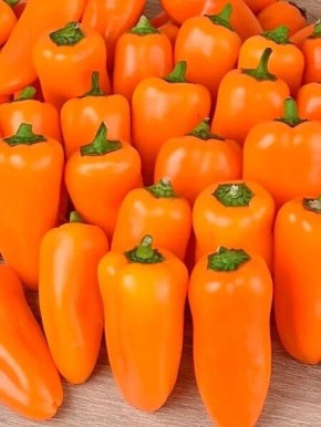 ������� ���������: ��������� ����� ��� ������ �������