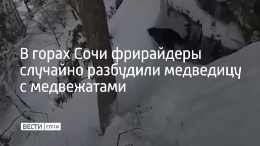 � ���� �������� ������������ �����, ������ � ����� ����: ������ ����������� �������� �� ��������������� ������� � ���� � ���������� �� �������, ��� �������� ��������� � ����������